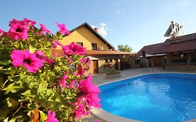 Guest House Vila Alexandar